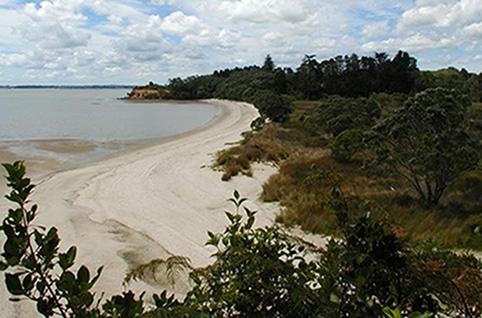 awhitu-regional-park